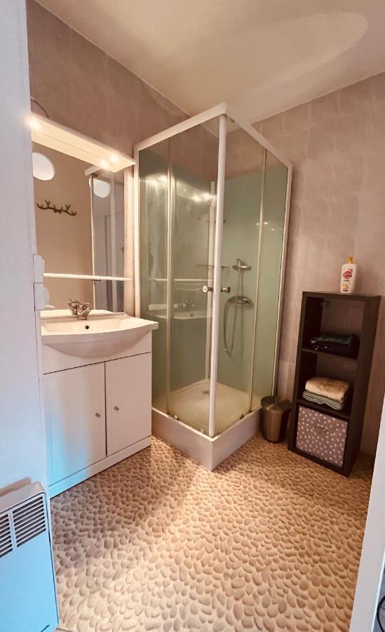 Apartament Au Charme Shakespearien De Perpignan Zewnętrze zdjęcie